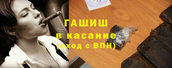гашик Няндома