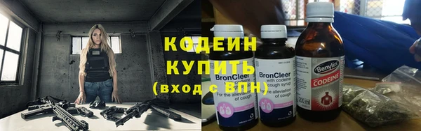 гашик Няндома