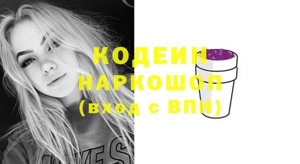 гашик Няндома