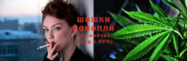 гашик Няндома