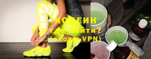 гашик Няндома