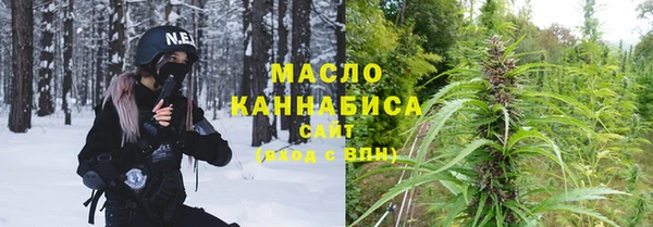 гашик Няндома