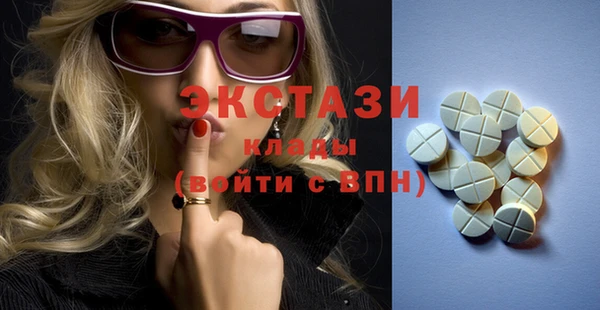 гашик Няндома