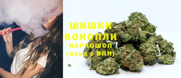 не бодяженный Новозыбков