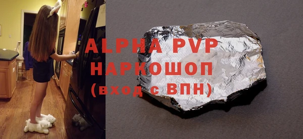 гашик Няндома