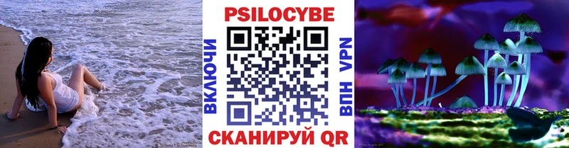 Псилоцибиновые грибы мухоморы  купить  цена  Питкяранта 