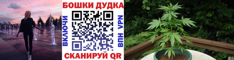 сколько стоит  Питкяранта  МАРИХУАНА THC 21% 